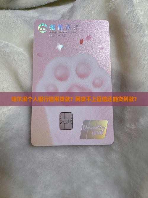 哈尔滨个人银行信用贷款