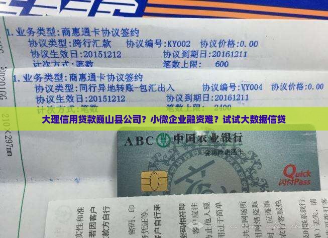 大理信用贷款巍山县公司