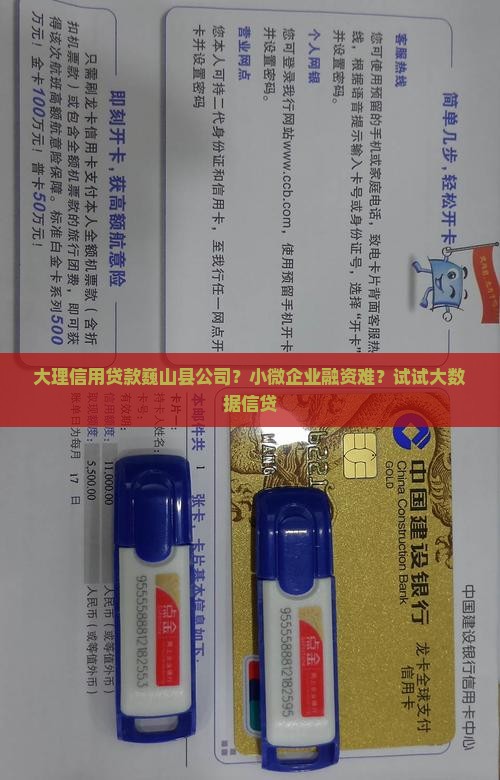 大理信用贷款巍山县公司