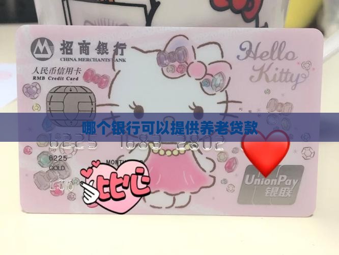 哪个银行可以养老贷款的