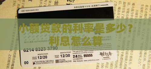 小额贷款一般年化多少