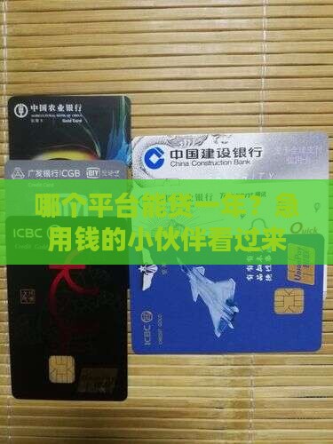 哪个平台可以贷款一年