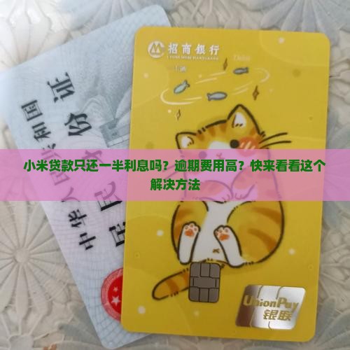 小米贷款只还一半利息吗