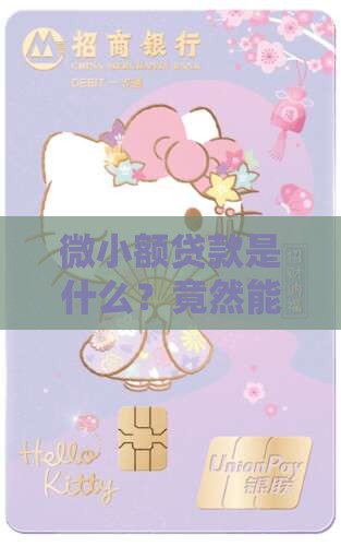 微小额贷款百度百科
