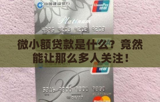 微小额贷款百度百科