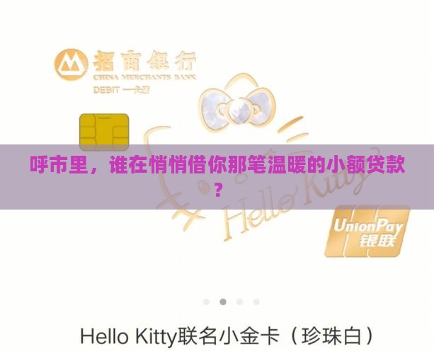 呼市什么地方有小额贷款