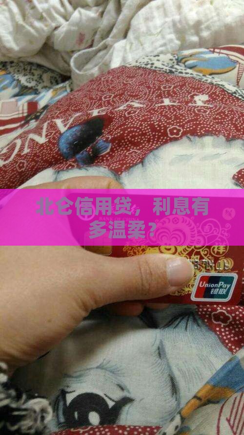 北仑信用贷款利息多少