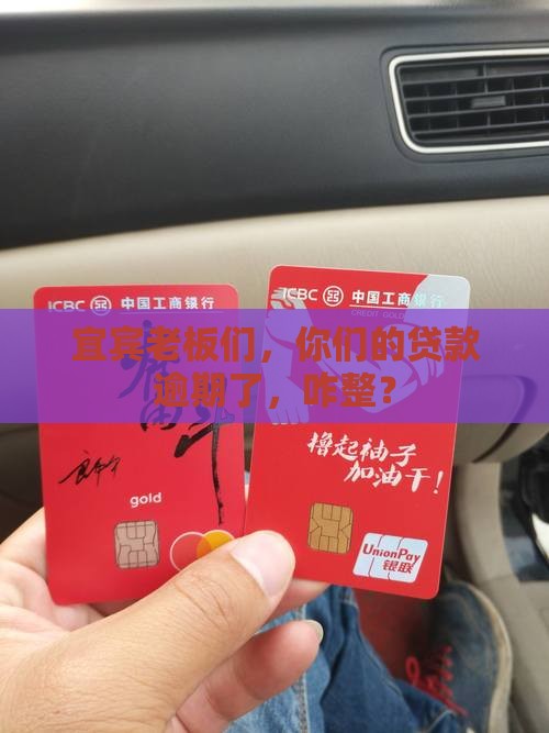 四川宜宾公司贷款逾期咨询