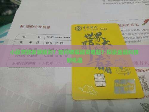 小额贷款发展规则
