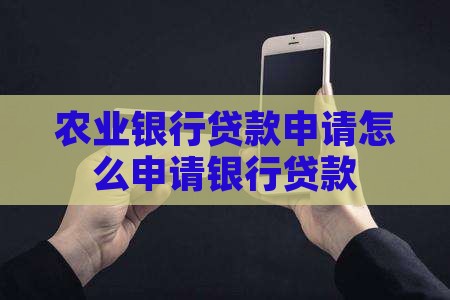 农行网上贷款申请
