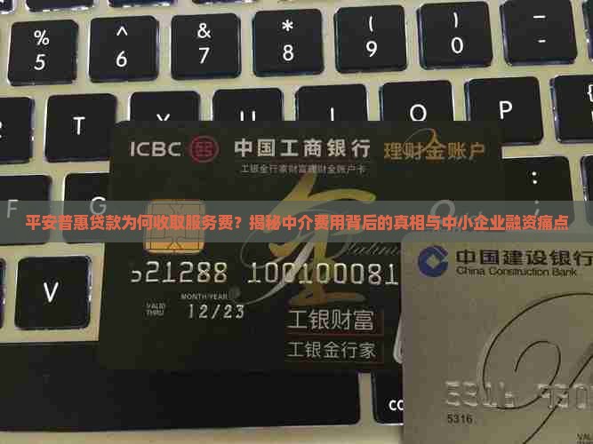 平安普惠贷款收服务费吗