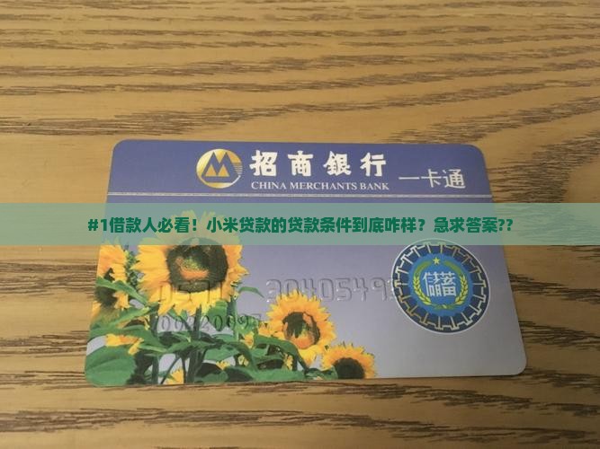 小米贷款的贷款条件