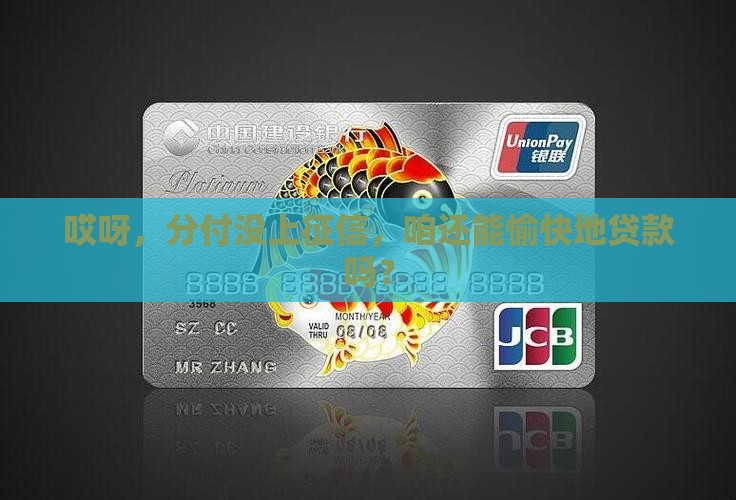 分付没上征信吗能贷款吗