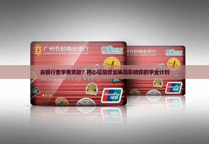 去银行查学费贷款