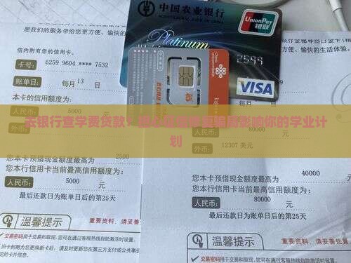 去银行查学费贷款