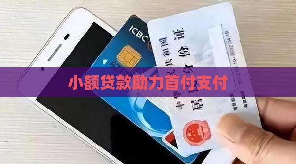 小额贷款卡付首付