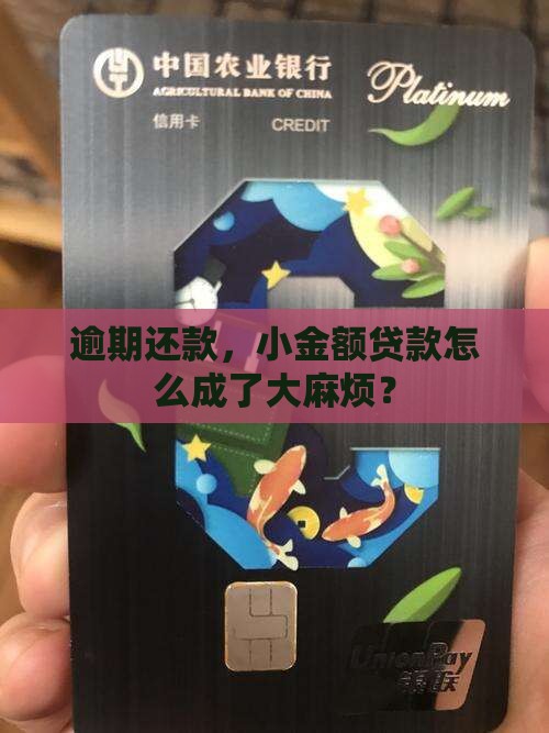 小额贷款逾期的影响
