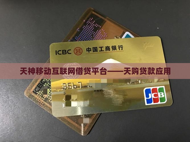 天购贷款平台