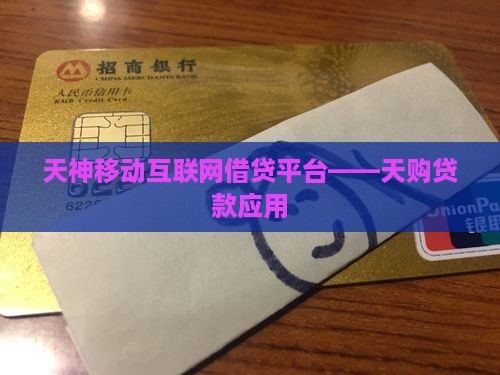 天购贷款平台