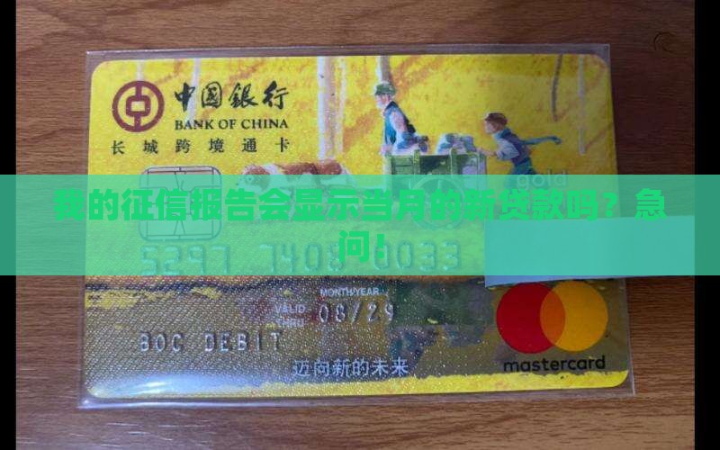 征信体现当月的贷款吗