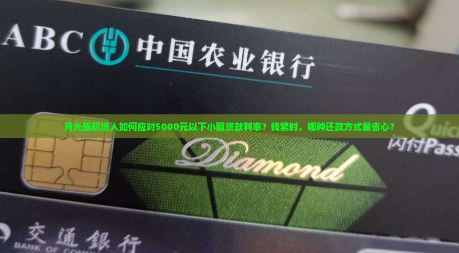 小额贷款利率
