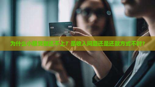 小额贷款为什么还不上