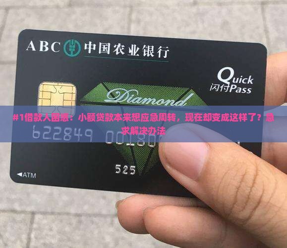 小额贷款用途改变