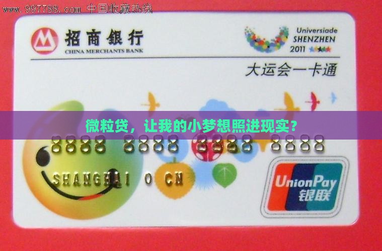 基于微粒贷的贷款