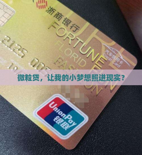 基于微粒贷的贷款