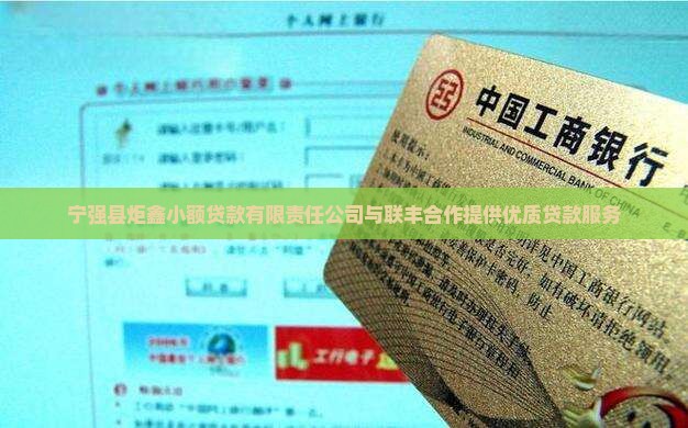 宁强小额贷款