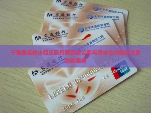 宁强小额贷款