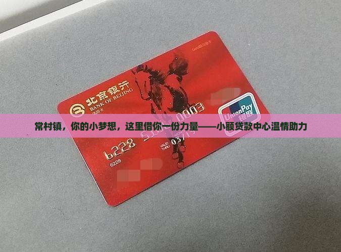 常村镇小额贷款中心