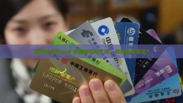 农村信用贷款入股