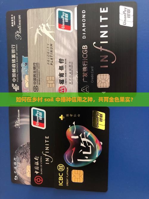 农村信用贷款入股