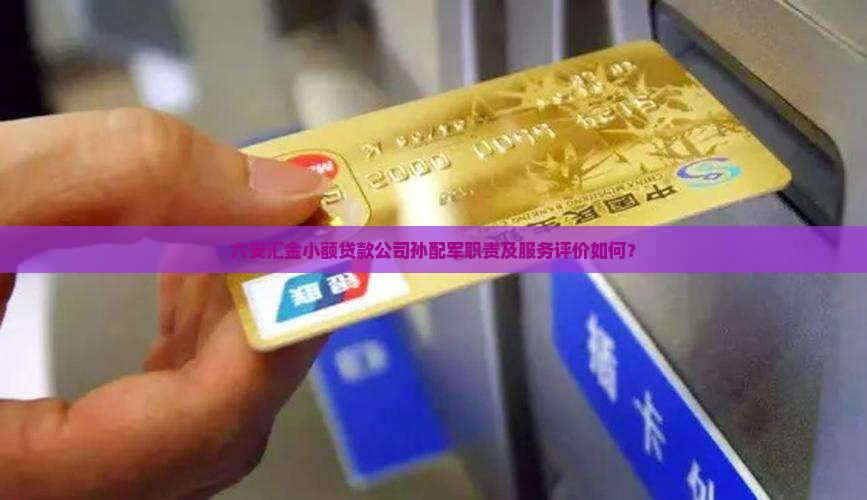 六安汇金小额贷款孙配军