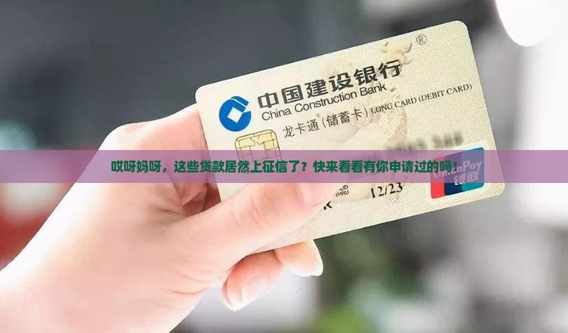 哪些贷款已进入征信