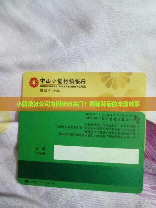小额贷款倒闭原因