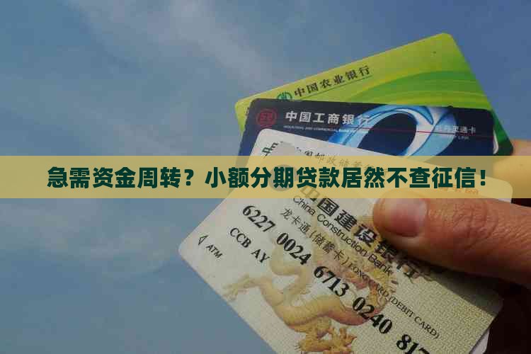 小额分期贷款不征信查
