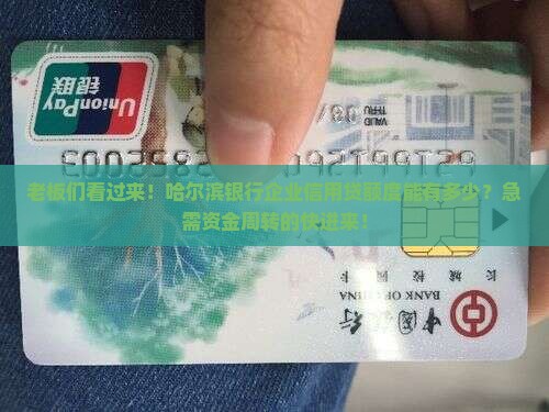 哈尔滨银行企业信用贷款
