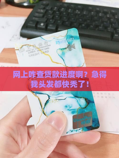在网上咋查贷款进度了