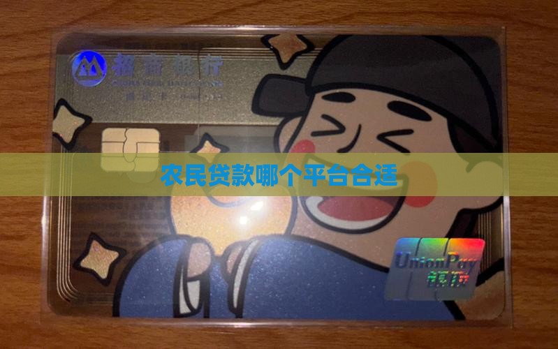 农民工在哪个平台能贷款