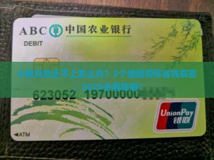 小额贷款平台如果还不上