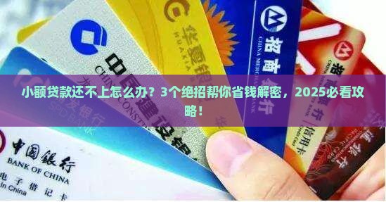 小额贷款平台如果还不上