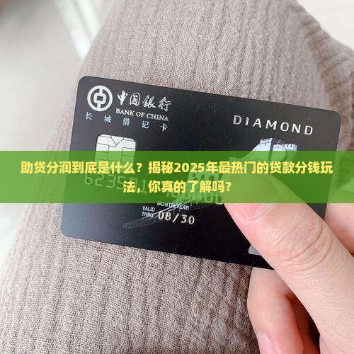助贷分润是什么贷款