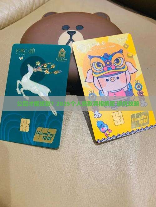 只有公司可以申请贷款吗