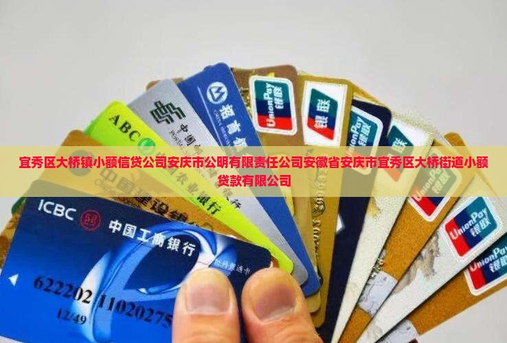 宜秀区大桥镇小额贷款