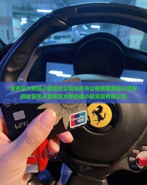 宜秀区大桥镇小额贷款
