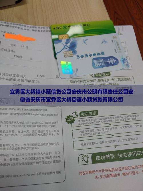 宜秀区大桥镇小额贷款