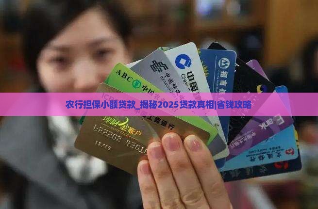 农行担保小额贷款