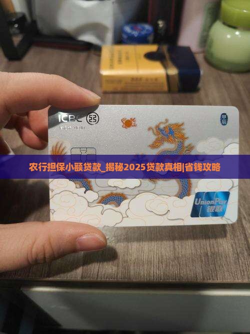 农行担保小额贷款